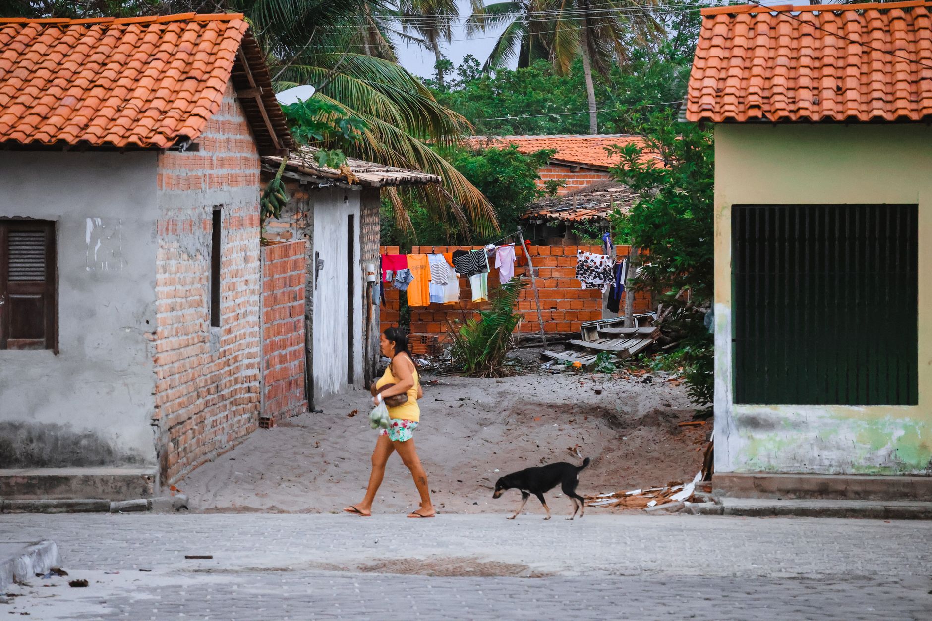 Beatriz Menezes